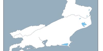 வரைபடம் ரியோ டி ஜெனிரோ திசையன்